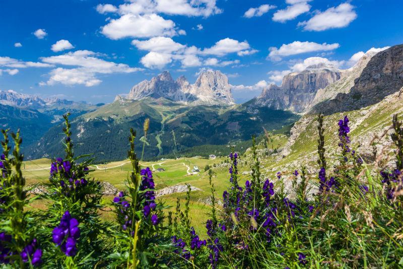 summer in the dolomites